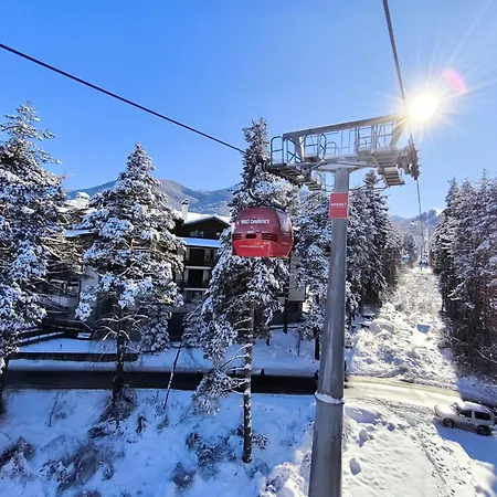 In - Out Kosara * Bansko